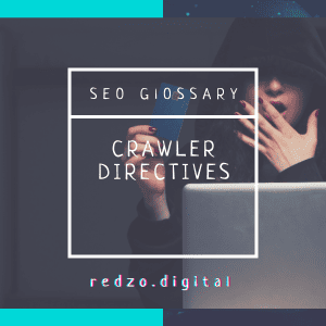 Crawler directives - redzo digital